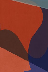 Formes colorées bio - cartissi