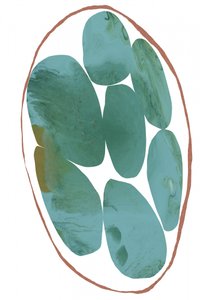 Pierres précieuses bio couleur bleu sarcelle - cartissi