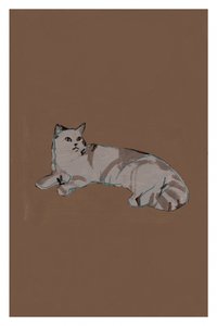 Chat gris détendu - cartissi