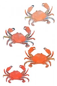 Fruits de mer, crabes, aquarelle