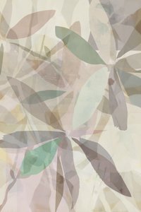 Feuilles abstraites aux contours doux