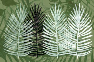 Feuillage vert tropical