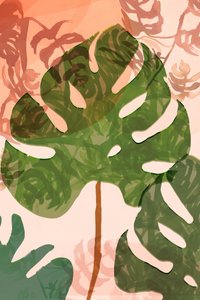 Feuilles de monstera tropical - cartissi