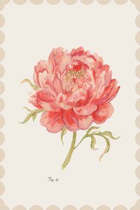 Pivoine rose vintage - cartissi
