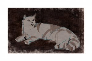 Un chat blanc au repos - cartissi