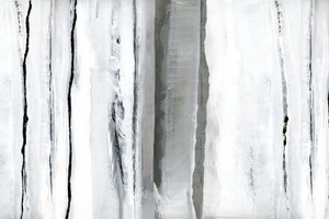 Abstraction de la Forêt Blanche