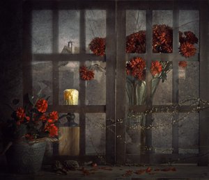Fleurs de la fenêtre sombre - chenyi wang