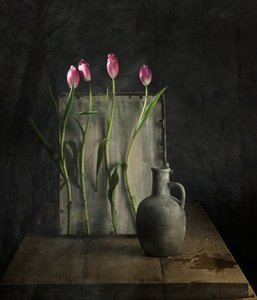 - chenyi wang