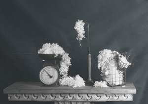 Nature morte vintage en coton