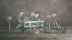  - chenyi wang