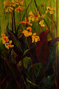 Canna Lily, 2017 - jocasta shakespeare