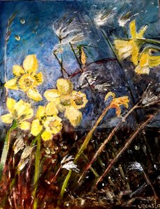 Jonquilles sauvages, 2018 - jocasta shakespeare