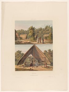 Camp d