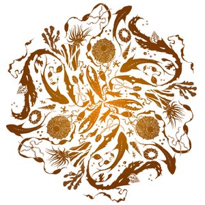 Mare marginis, 2018 (sérigraphie) - julia McKenzie