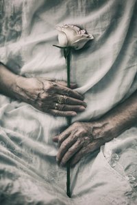 Des mains délicates tiennent une rose