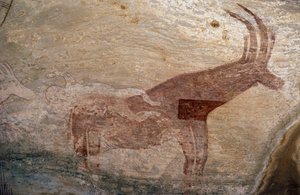 Animal à sabots, peinture rupestre, Sephar, Tassili n