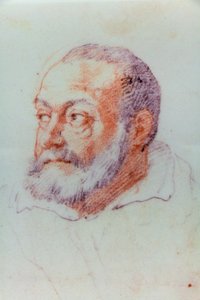 Portrait de Jacopo Barozzi da Vignola - or Zuccaro Federico Zuccari