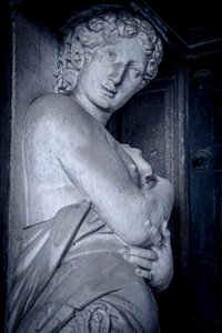Biblioteca Marciana, Venise, Italie (photo)