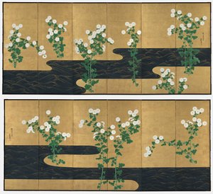 Chrysanthèmes près d