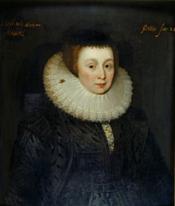Portrait de Lady Emily Howard, début du 17e siècle - the Younger School of Marcus Gheeraerts