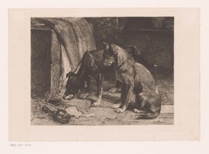 Deux chiens près d