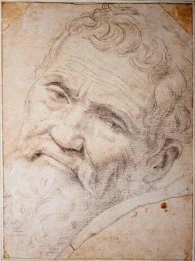 Portrait de Michel-Ange Buonarroti - Daniele da  Volterra