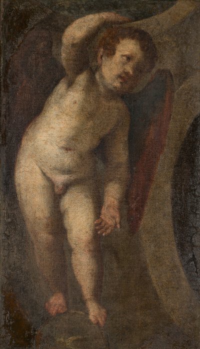 Un putto debout - Veronese