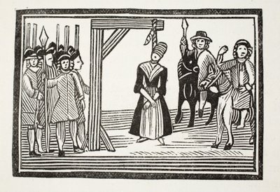 La Vie entière et les aventures de Miss Davis, communément appelée La Beauté déguisée, illustration de 