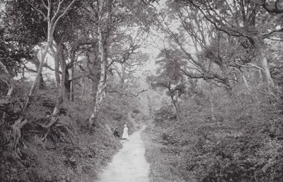 Fairlight Glen - (after) English photographer