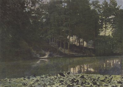 Bois de Boulogne, Le Réservoir - (after) French Photographer