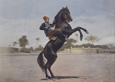 Nos Cavaliers - (after) French Photographer
