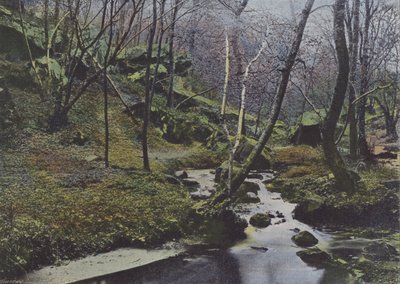 Vaux de Cernay, Les Cascades - (after) French Photographer
