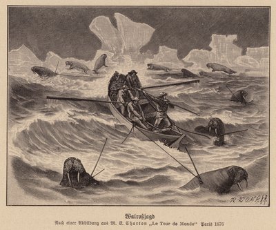 Chasse au morse (gravure) - (after) French School
