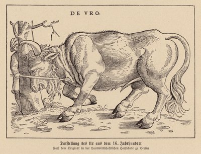 Chasse aux aurochs - (after) German School