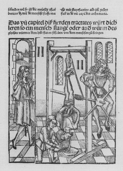 Le Livre de Cirurgia par Hieronymus Brunschwig - (after) German School