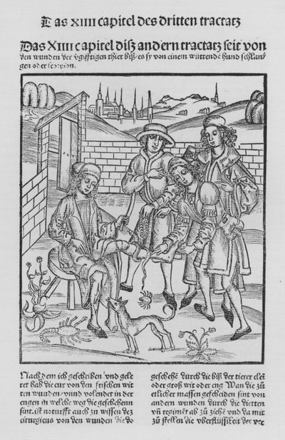 Le Livre de Cirurgia par Hieronymus Brunschwig - (after) German School