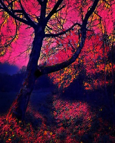 Crépuscule. - Margareta Uliarte