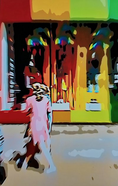 Multicolore urbain - Mavet