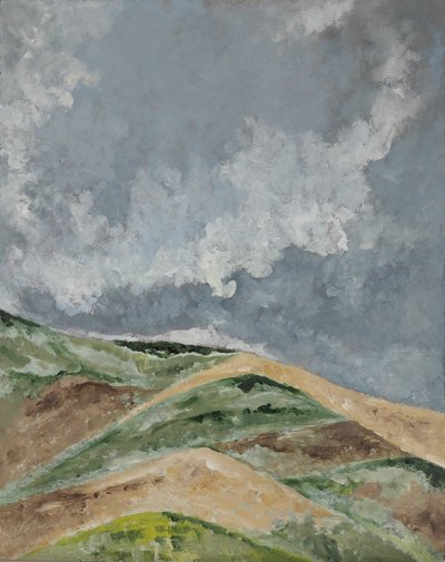Champs de blé dans les collines. - 