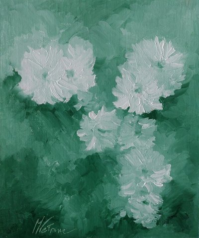 Fleurs blanches - 