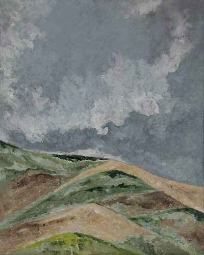 Champs de blé dans les collines. - M. Vet