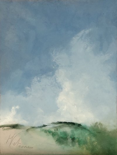 Zone marécageuse - M. Vet