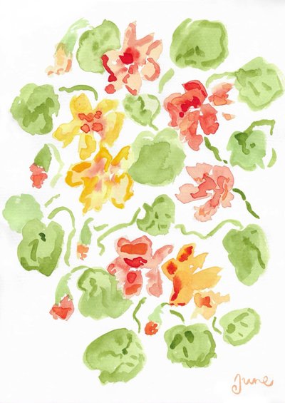 Capucines - june art