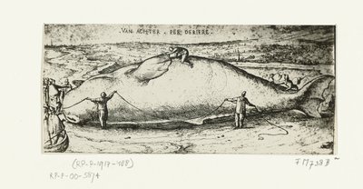 Gravure de la baleine échouée à Anvers, 2 juillet 1577 - A.B. van Deinse