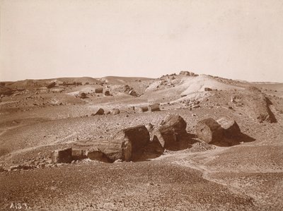 Dans la forêt pétrifiée (vue générale, Middle Park) - A.C. Vroman