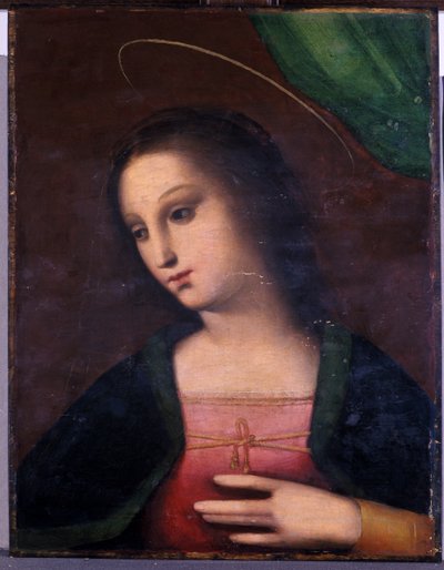 Portrait de Marie - A. 1485 c.1525 Piccinelli