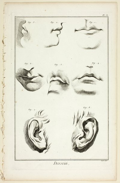 Design : Anatomie faciale de l