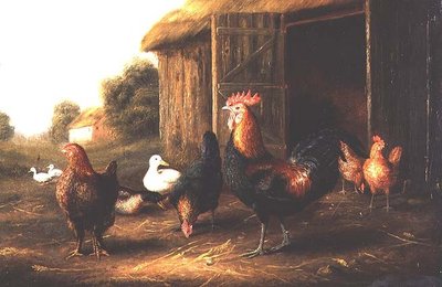 Poules et canards dans une cour de ferme - A. Jackson