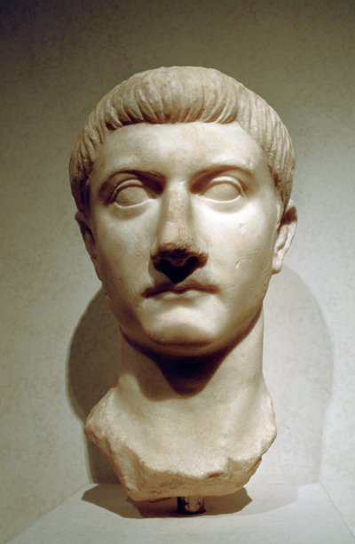 Tête de l