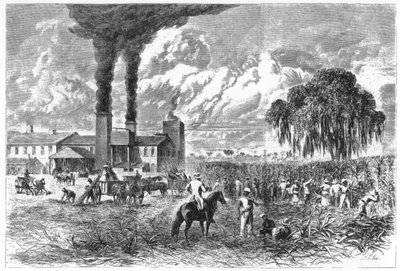 Plantation de sucre, La Nouvelle-Orléans, 1870 - A. R. Ward